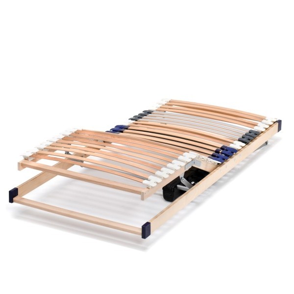 4_ Flex Motoric